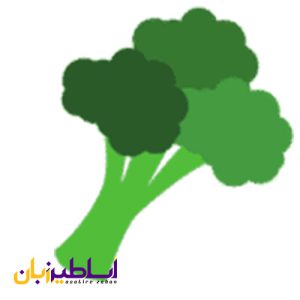 لیست سبزیجات: اسامی سبزیجات به انگلیسی با تصاویر Broccoli