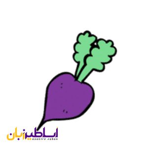 لیست سبزیجات: اسامی سبزیجات به انگلیسی با تصاویر Turnip