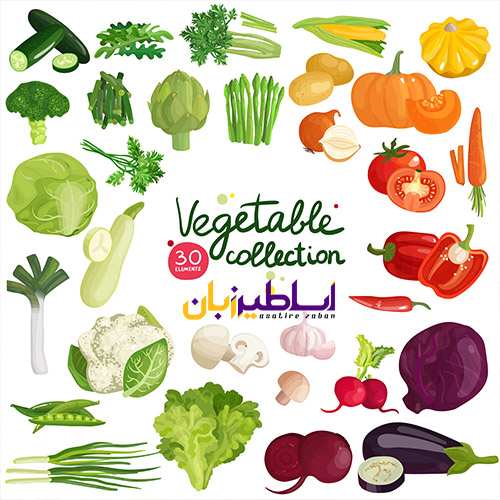 سبزیجات به انگلیسی